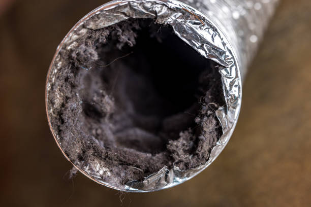 Best HVAC System Cleaning  in Moyie Springs, ID